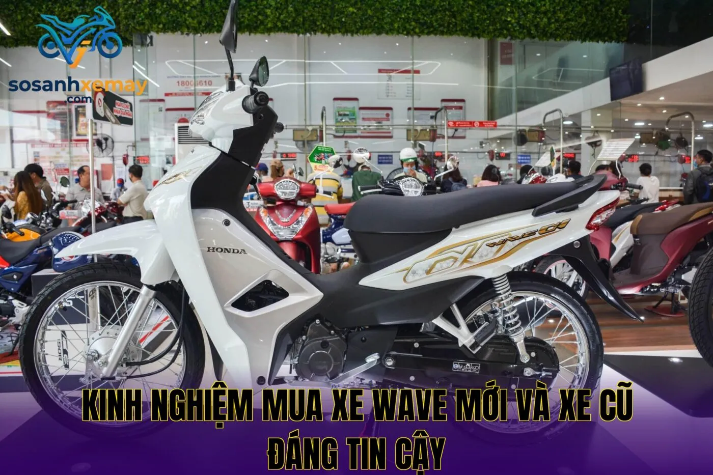 Kinh nghiệm mua xe Wave mới và xe cũ đáng tin cậy