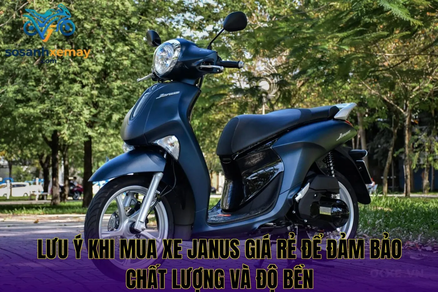 Lưu ý khi mua xe Janus giá rẻ để đảm bảo chất lượng và độ bền