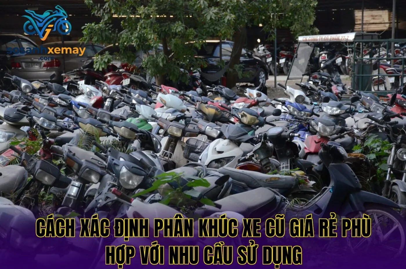 Cách xác định phân khúc xe cũ giá rẻ phù hợp với nhu cầu sử dụng