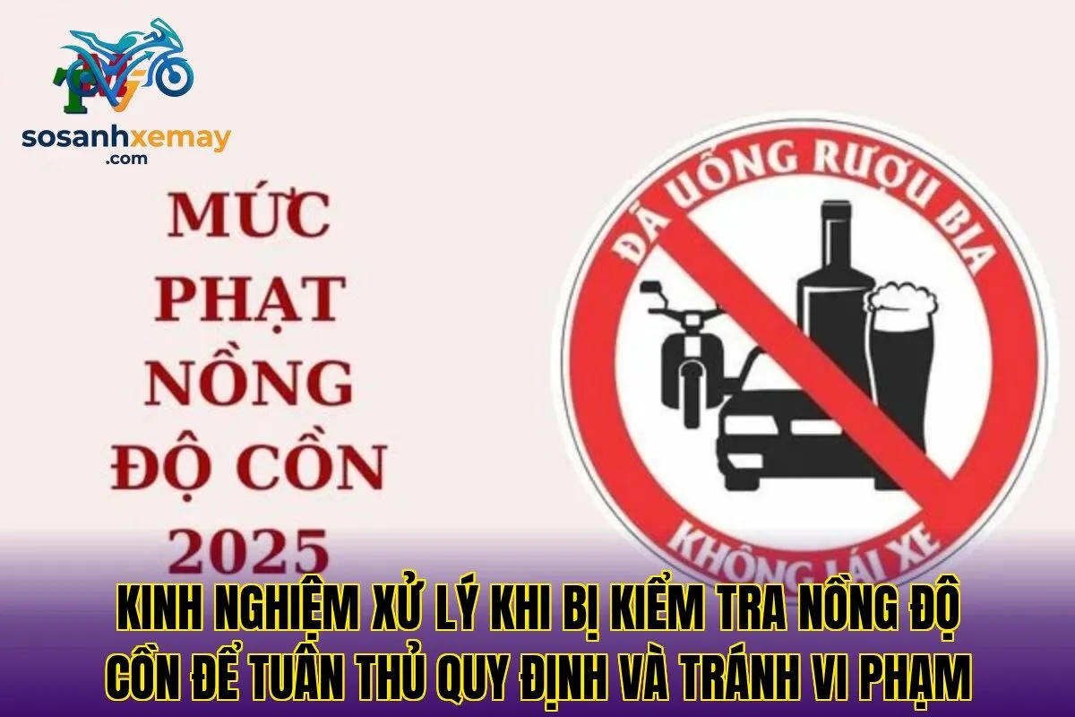 Kinh nghiệm xử lý khi bị kiểm tra nồng độ cồn để tuân thủ quy định và tránh vi phạm