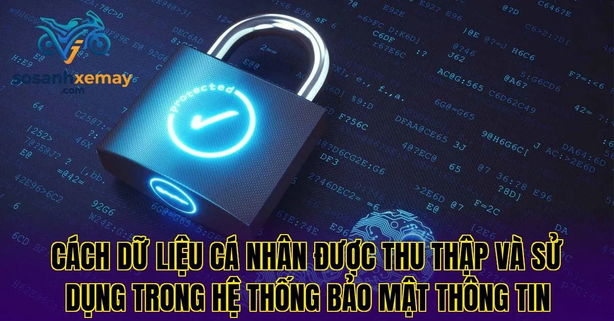 Cách dữ liệu cá nhân được thu thập và sử dụng trong hệ thống bảo mật thông tin