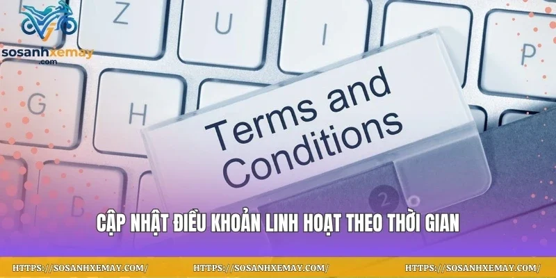 Cập nhật điều khoản linh hoạt theo thời gian