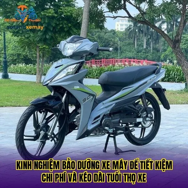Kinh nghiệm bảo dưỡng xe máy để tiết kiệm chi phí và kéo dài tuổi thọ xe